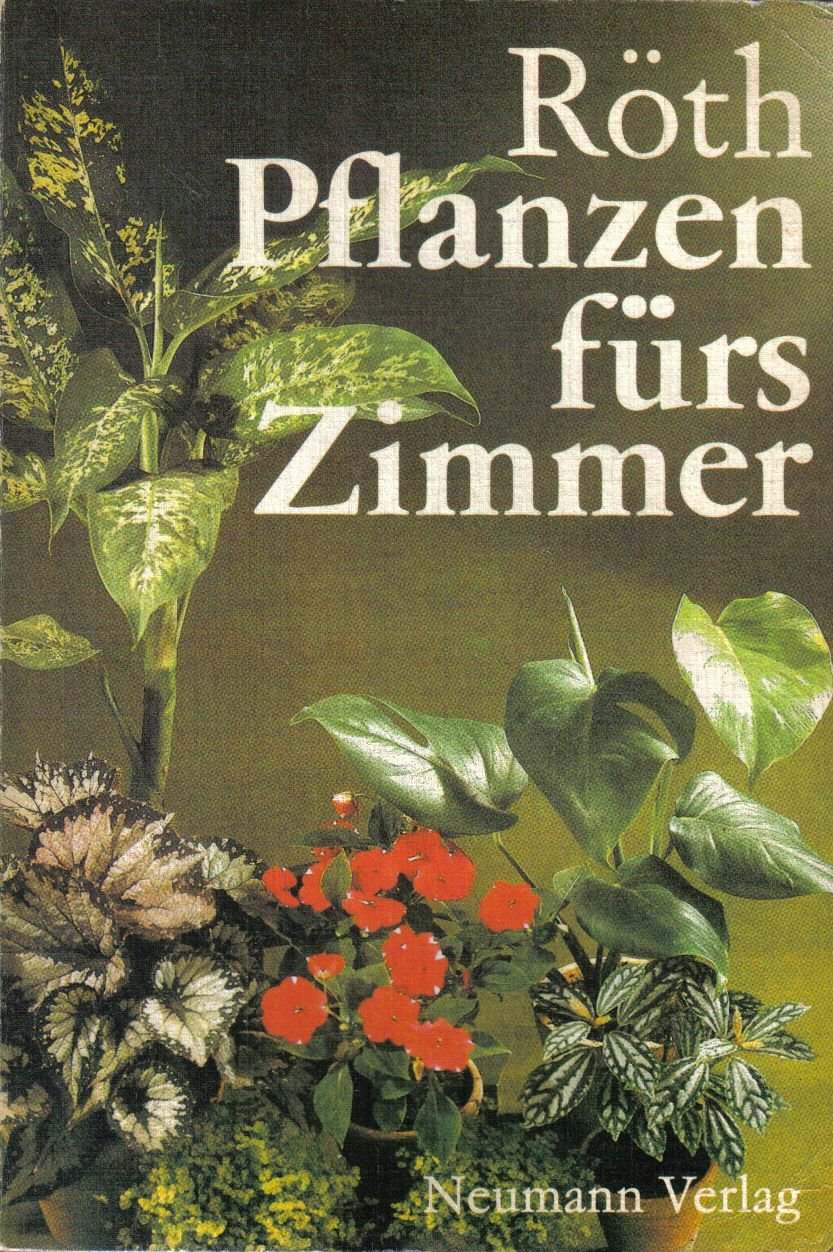 Pflanzen fürs Zimmer
