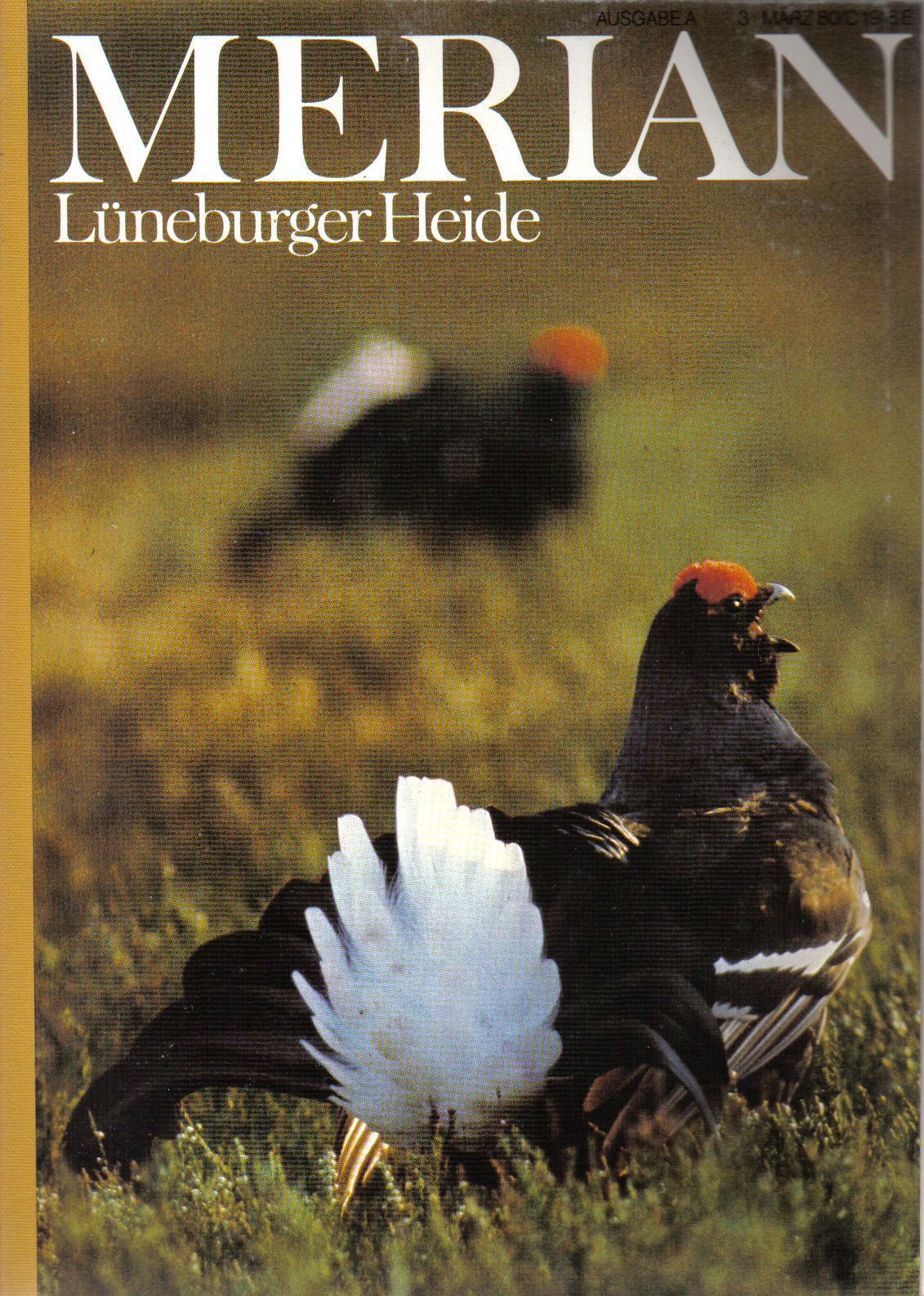 Lüneburger Heide