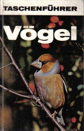 Vögel - Taschenführer