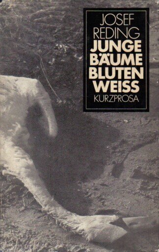 Junge Bäume bluten weiss. Kurzprosa