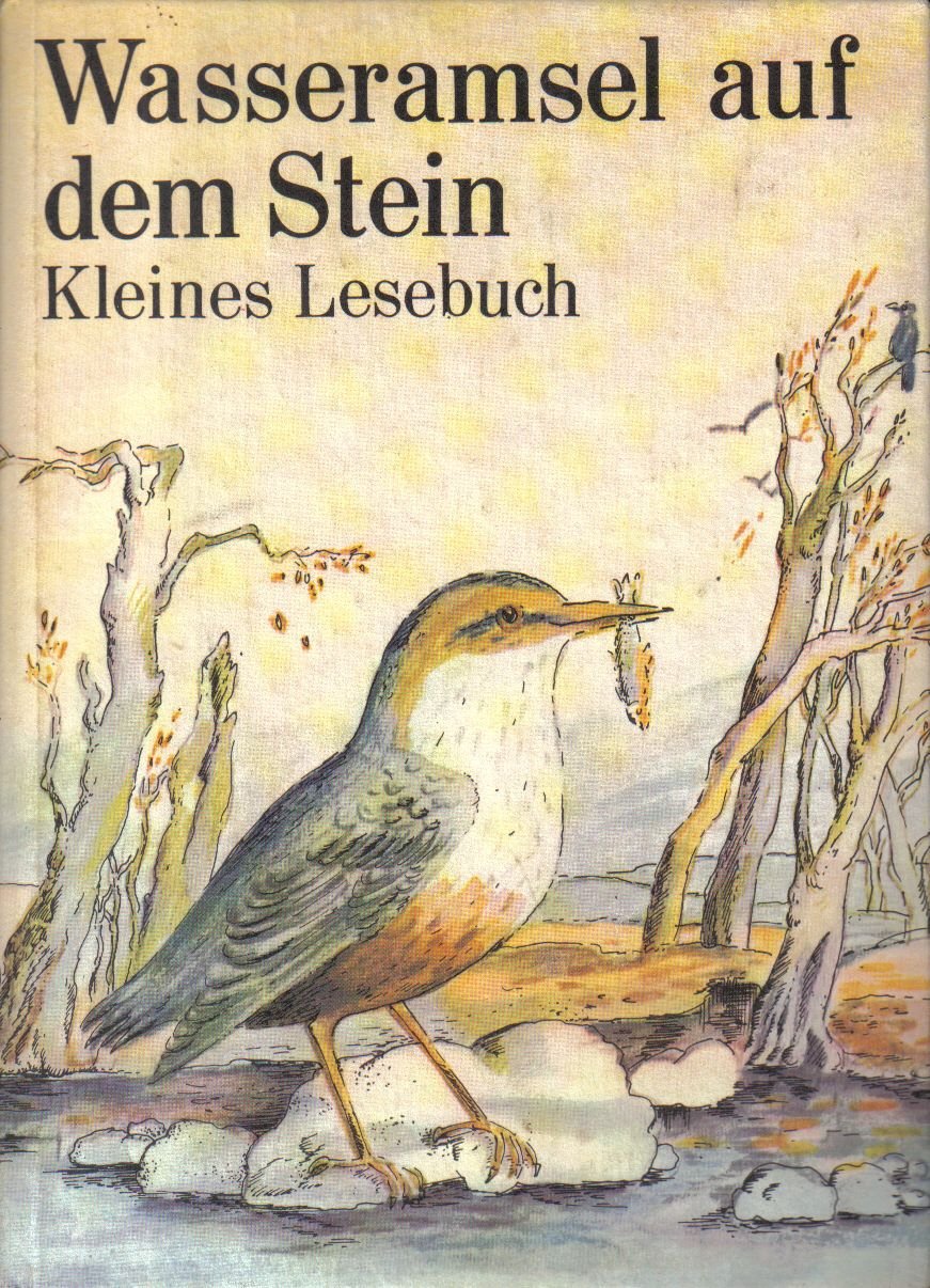 Wasseramsel auf dem Stein - Kleines Lesebuch