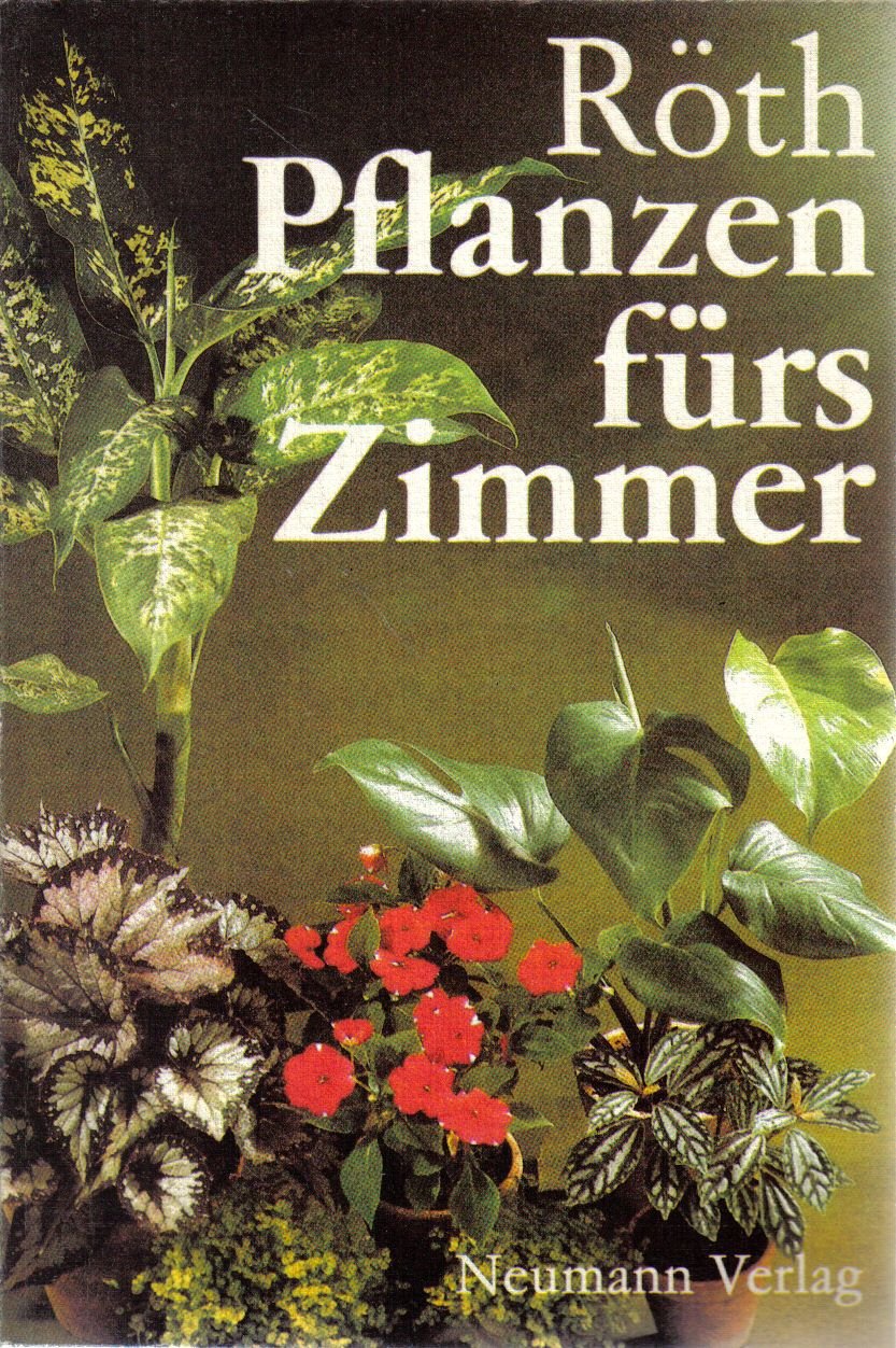 Pflanzen fürs Zimmer.