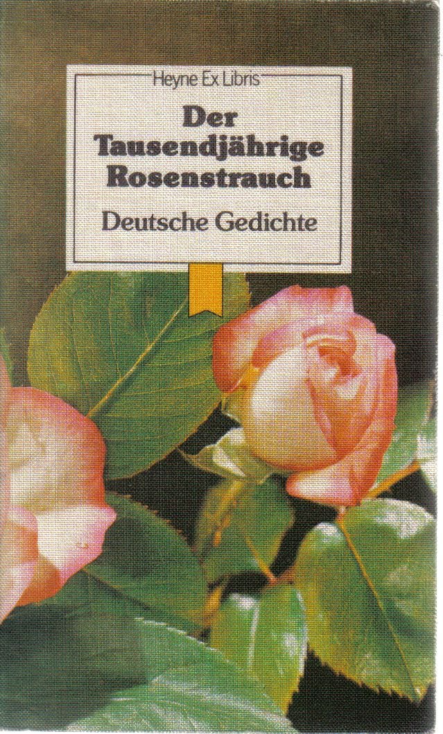 Der Tausendjährige Rosenstrauch