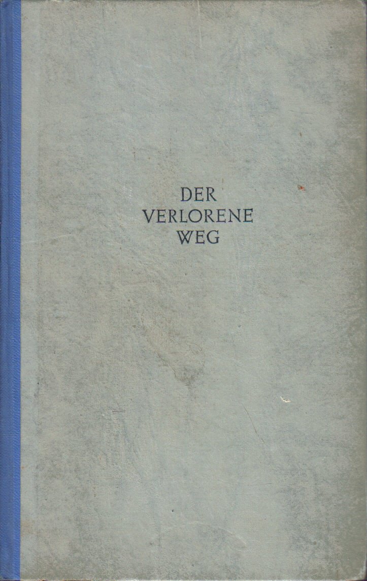 Der verlorene Weg - Roman