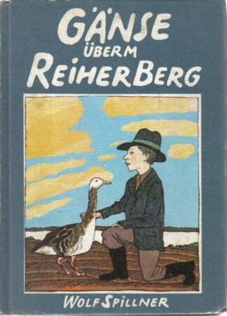 Gänse überm Reiherberg