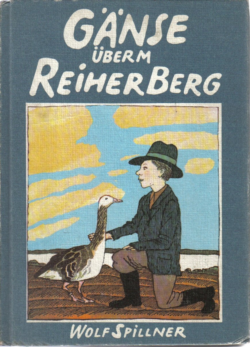 Gänse überm Reiherberg