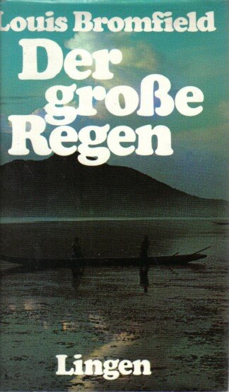 Der große Regen