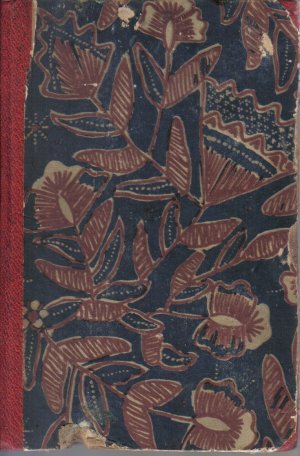 Die ferne Insel. Aufzeichnungen von meiner Fahrt nach Bali in Wort und Bild