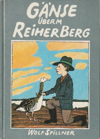 Gänse überm Reiherberg