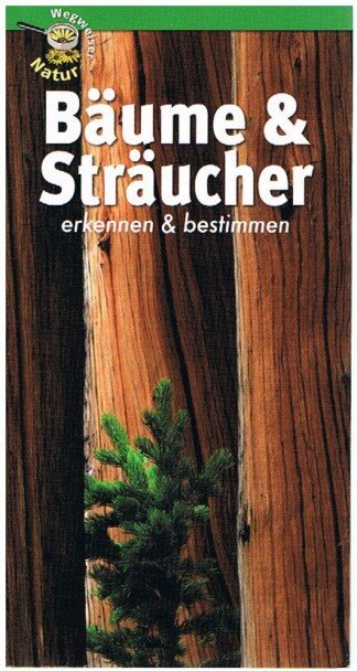 Bäume & Sträucher erkennen und bestimmen