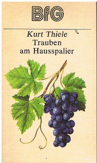 Trauben am Hausspalier