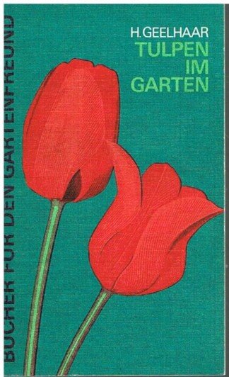 Tulpen im Garten