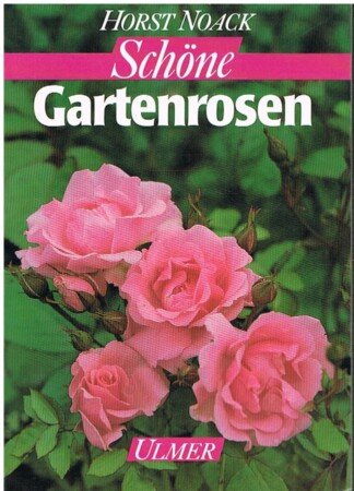 Schöne Gartenrosen