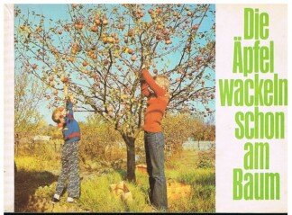 Die Äpfel wackeln schon am Baum