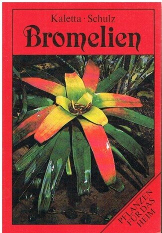 Bromelien