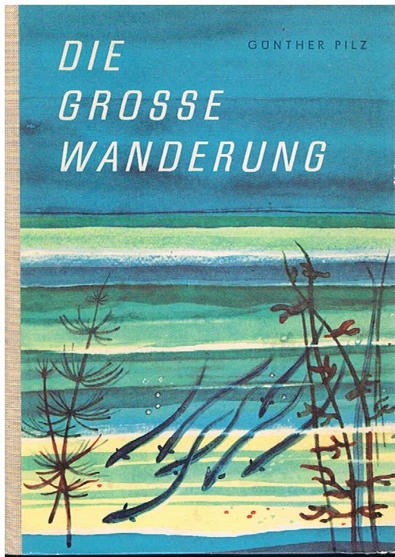 Die große Wanderung - Eine Plauderei über das Leben der Aale