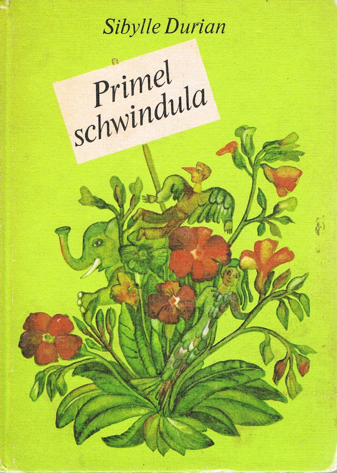 Primel schwindula
