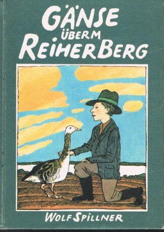 Gänse überm Reiherberg