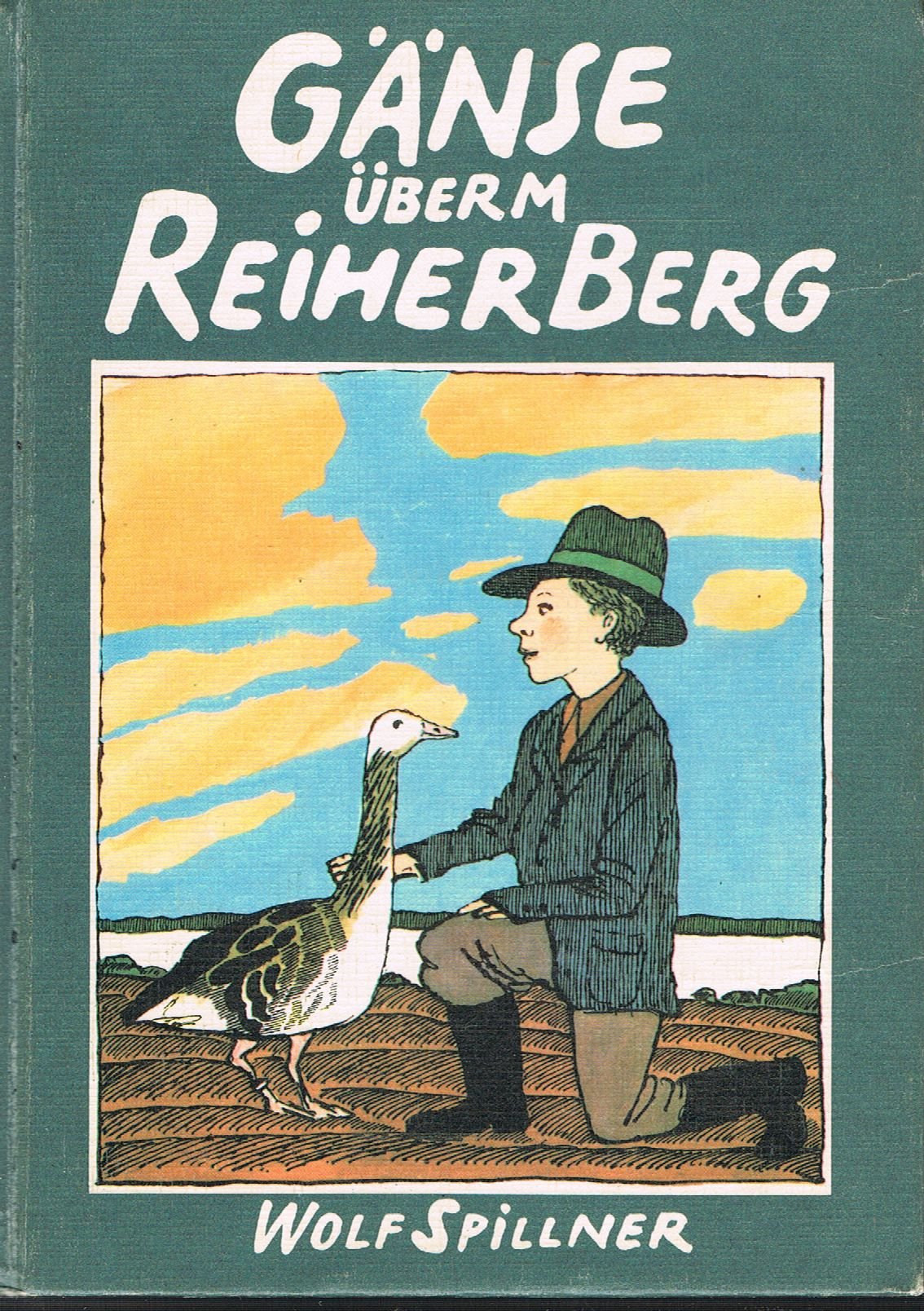 Gänse überm Reiherberg