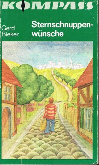 Sternschnuppenwünsche