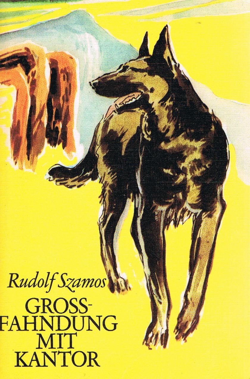 Grossfahndung mit Kantor