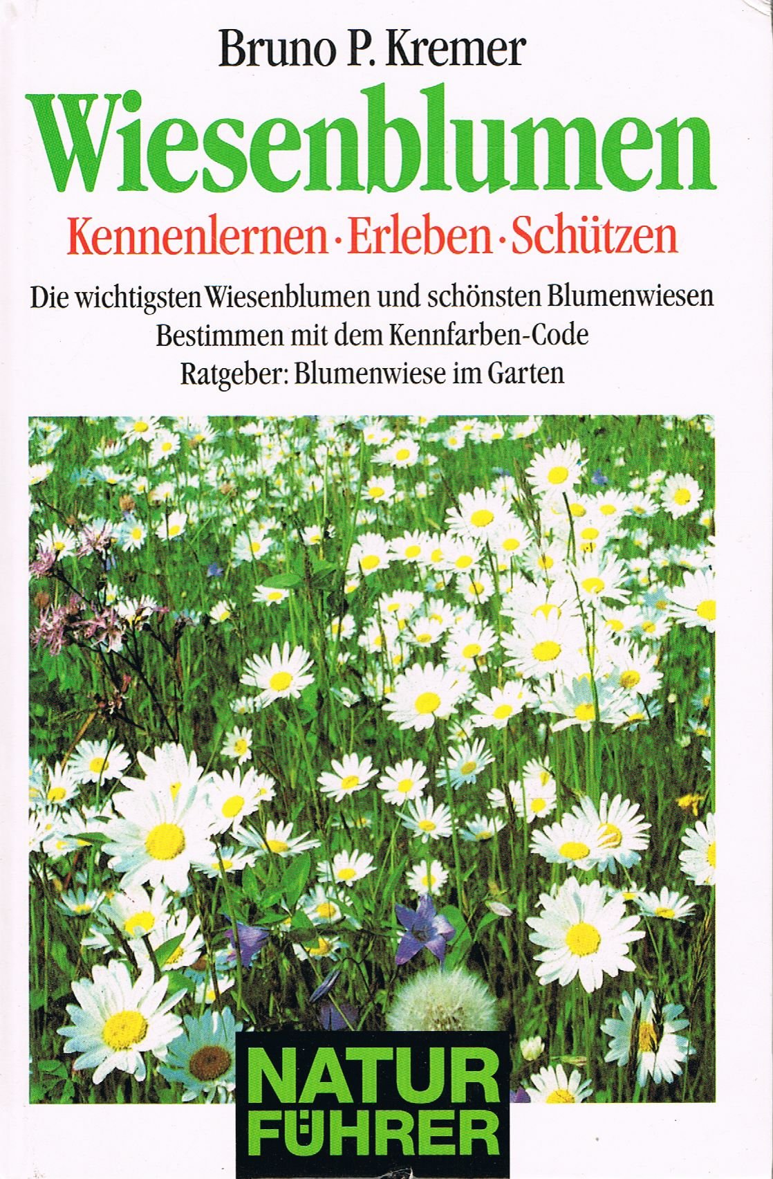 Wiesenblumen - Kennenlernen - Erleben - Schützen - Die wichtigsten Wiesenblumen und schönsten Blumenswiesen