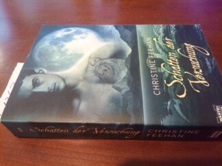 Schatten der Versuchung – Roman