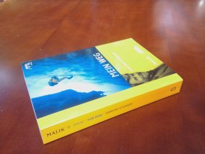 Mein Weg – Bilanz eines Grenzgängers