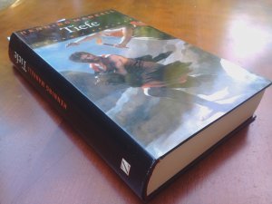 Tiefe – Roman