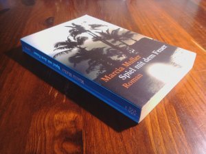 Spiel mit dem Feuer - Roman