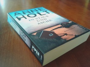 In Staub und Asche – Kriminalroman