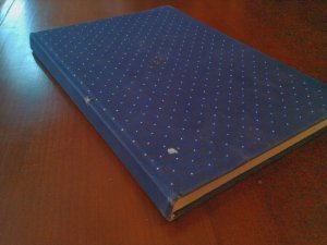 Die Schneekönigin - 6 Märchen aus der Weltliteratur