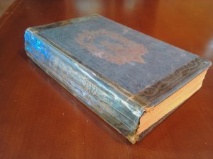 Praktisches Kochbuch für die gewöhnliche und feinere Küche. Zuverlässige und selbstgeprüfte Rezepte zur Bereitung der verschiedenartigsten Speisen, kalter und warmer Getränke, Gelees, von Gefrornem, Backwerken, sowie zum Einmachen und Trocknen von Früchten. Mit einem Anhange, enthaltend Arrangements zu kleinen und größeren Gesellschaften, zu Frühstücks-, Mittags- und Abendessen, Kaffee's und Thee's, und einem Küchenzettel nach den Jahreszeiten geordnet.