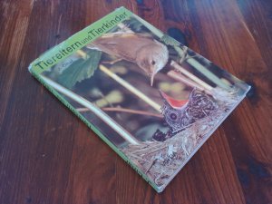 Tiereltern und Tierkinder