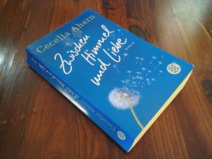 Zwischen Himmel und Liebe - Roman