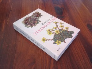 Blumen im Steingarten