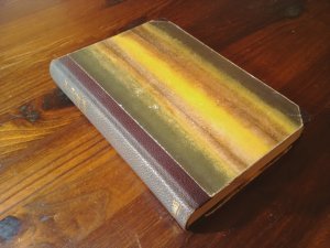 Der heimliche Kampf., Die Geschichte der Esther Raleigh. Roman. Erste Ausgabe.
