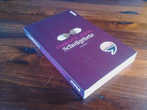 Schoßgebete – Roman