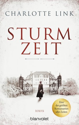 Sturmzeit – Roman