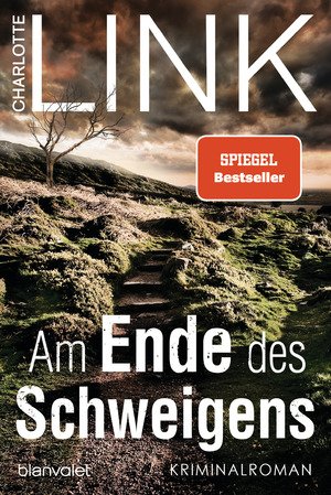 Am Ende des Schweigens – Kriminalroman