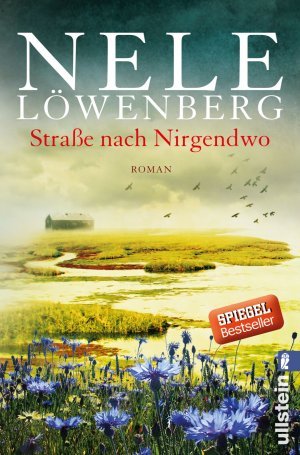 Straße nach Nirgendwo – Roman