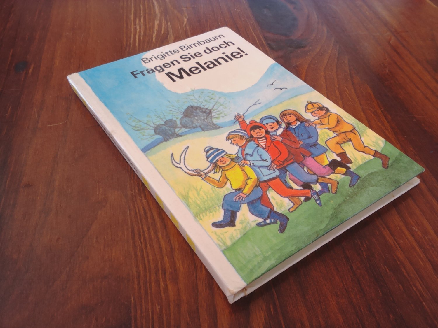 Fragen Sie doch Melanie! - Die kleinen Trompeterbücher Band 183
