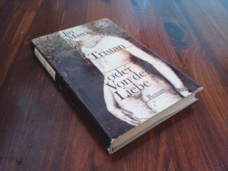 Tristan oder von der Liebe – Roman
