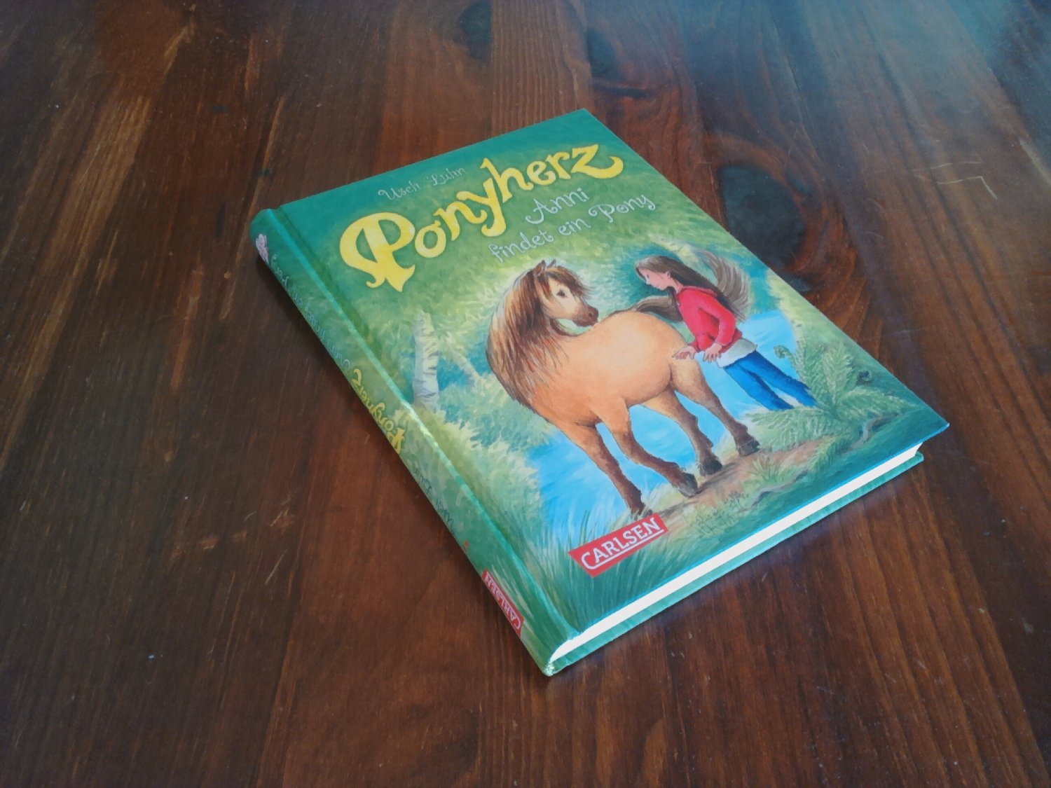 Ponyherz 1: Anni findet ein Pony