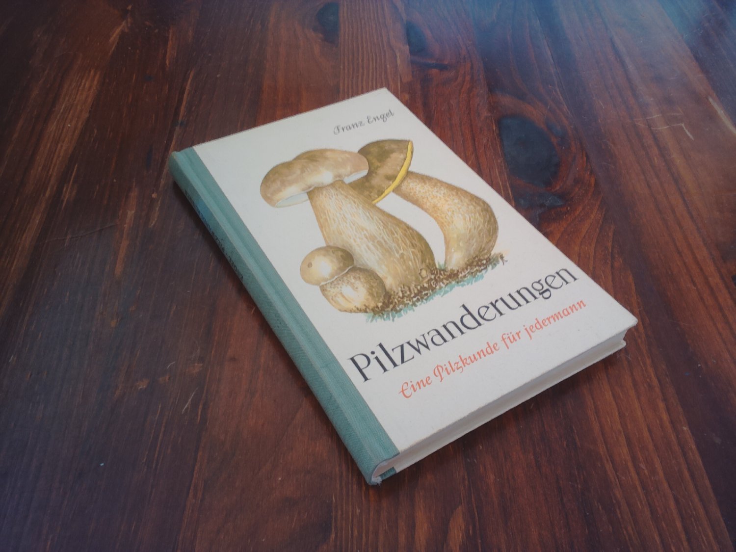 Pilzwanderungen. Eine Pilzkunde für jedermann.
