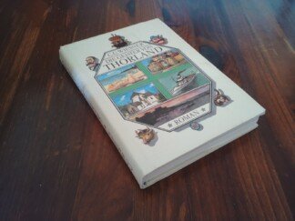 Die Geister von Thorland – Roman