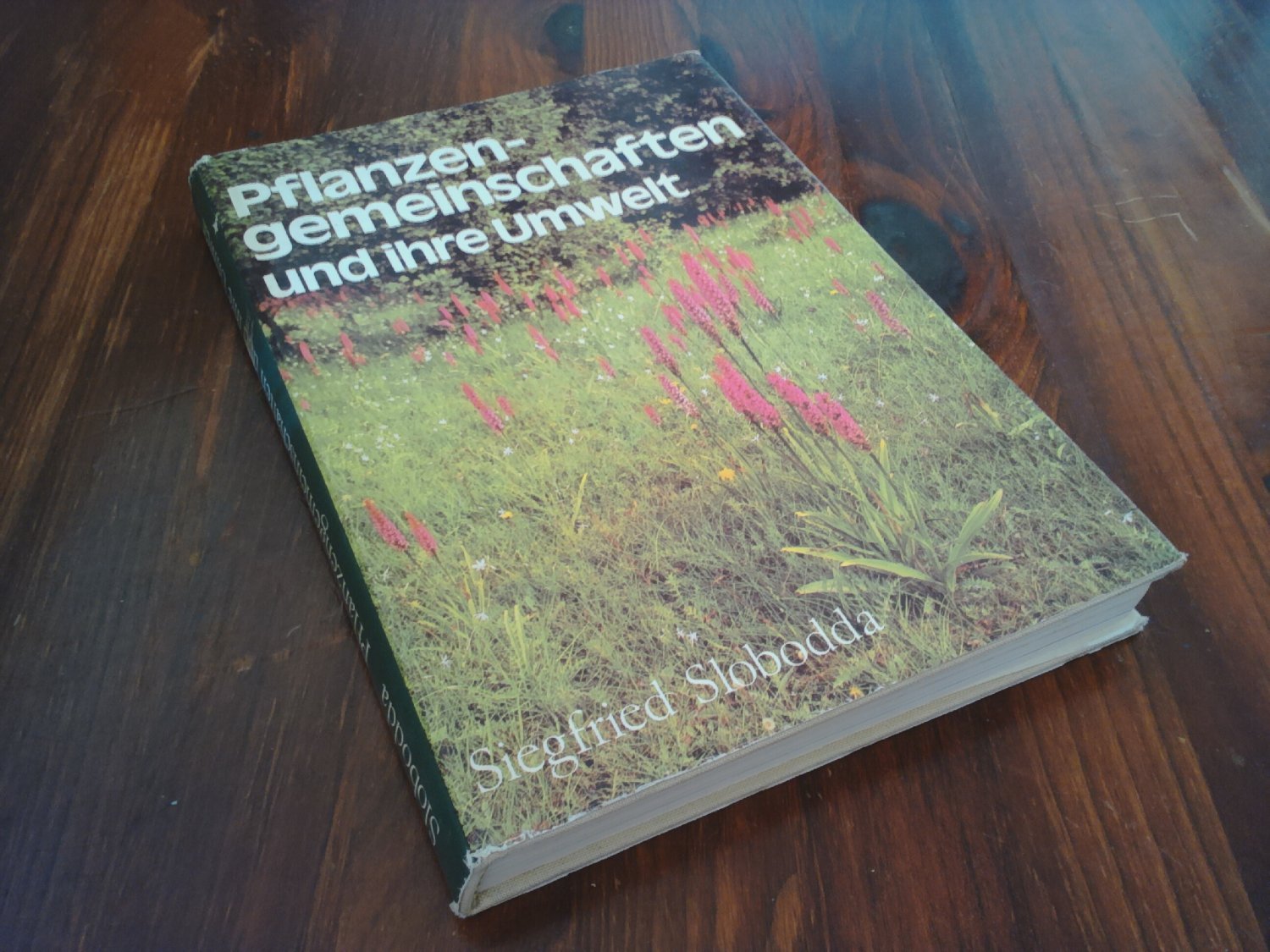 Pflanzengemeinschaften und ihre Umwelt