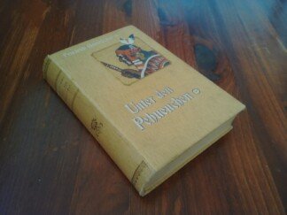 Unter den Pehuenchen. Eine chilenische Erzählung. Für die reifere Jugend und das Volk bearbeitet von Ernst Neumann.