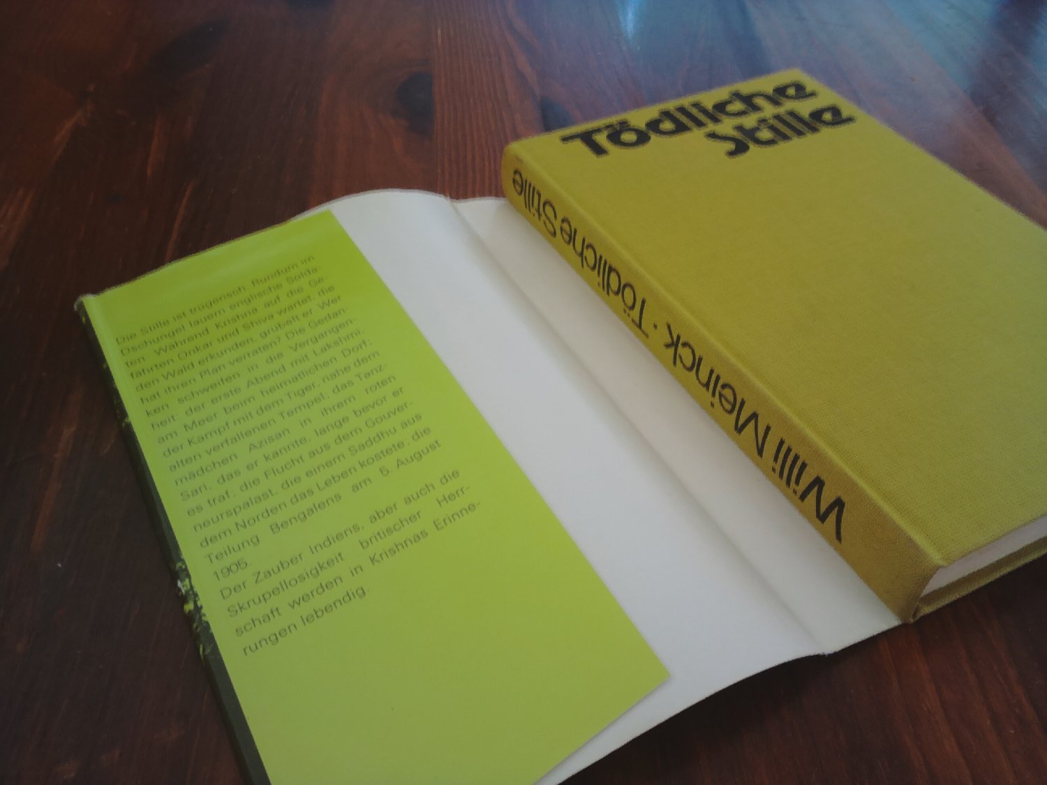 Tödliche Stille – Roman – Bild 2