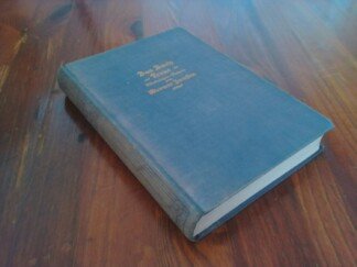 Das Buch der Treue. Nibelungen-Roman.